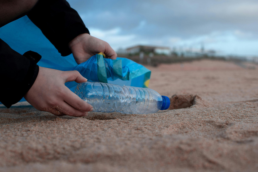 volunteers, beach cleanup