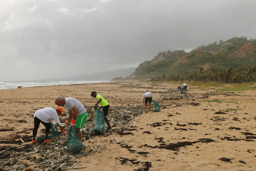volunteers, beach cleanup