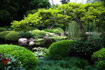 Visit a botanical garden