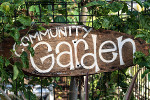 Join a community garden