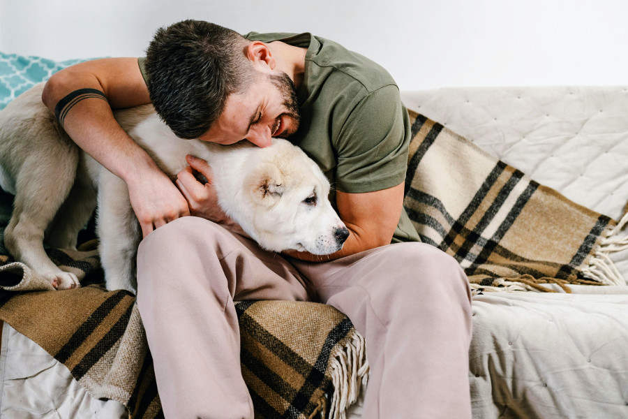 improve your emotional intelligence (EQ) - man hugging a dog
