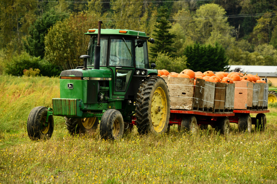 farmers, tractor, pumpkin