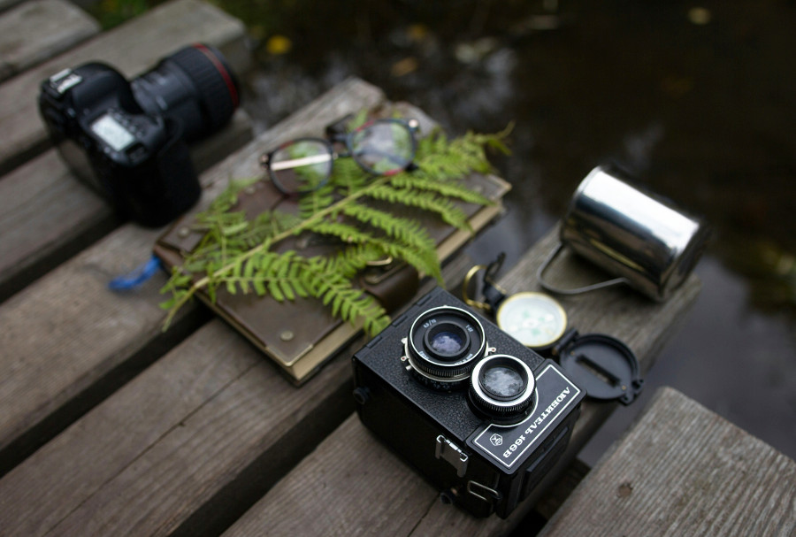 nature photography walk