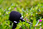 Record nature sounds