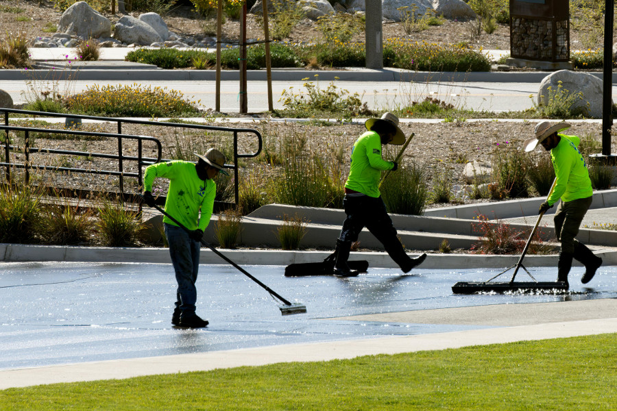 neighborhood cleanup