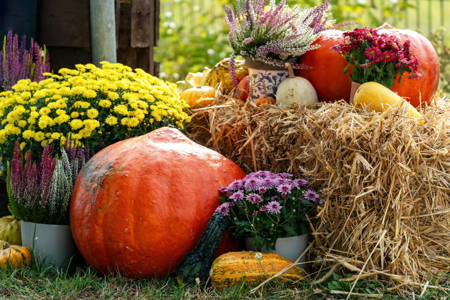 seasonal home decoration: autumn