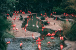 Visit a nearby zoo